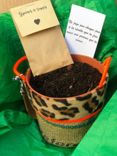 Charger l'image dans la galerie, La Box à semer