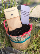 Charger l'image dans la galerie, La Box à semer