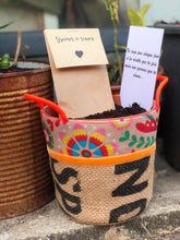 Charger l'image dans la galerie, La Box à semer