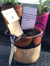 Charger l'image dans la galerie, La Box à semer