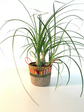 Charger l'image dans la galerie, Cache-pot en sac de café upcyclé - fait main - à Paris